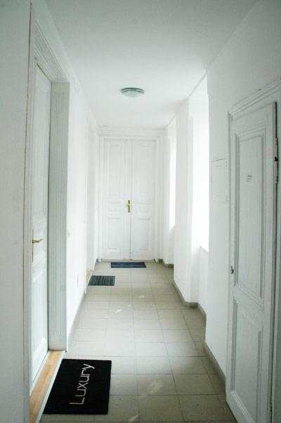 Premium Apartments Klimschgasse Wiedeń Zewnętrze zdjęcie